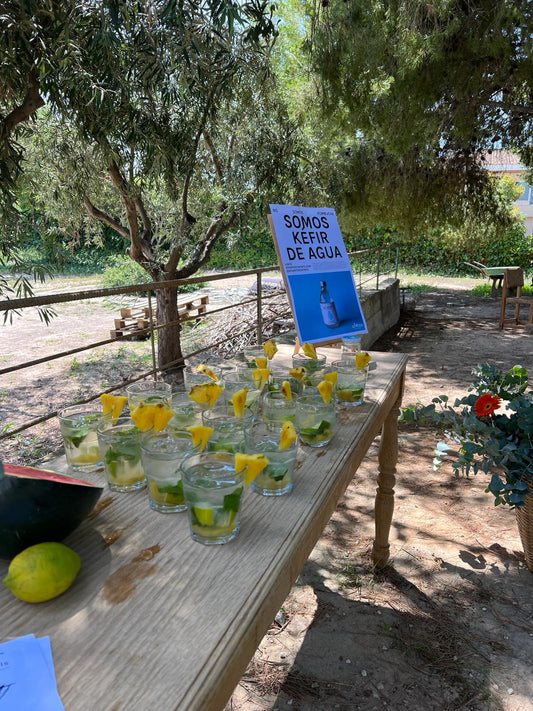 Ké Tropical: Un refrescante Mocktail con Kéfir de Agua.