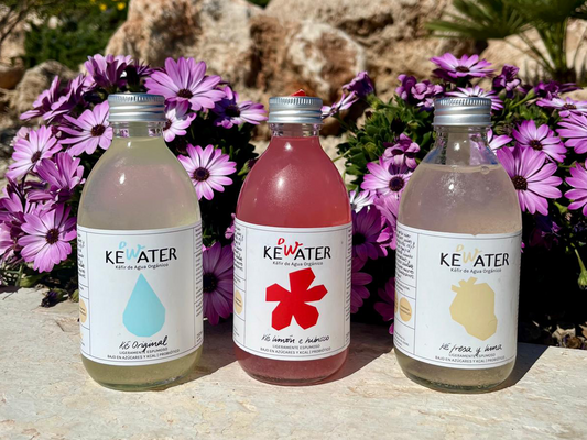 Explorando los numerosos beneficios de los Ingredientes del Kéfir de Agua.